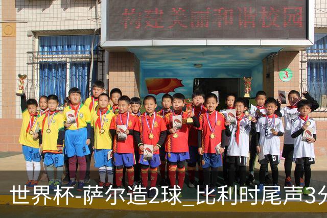 世界杯-萨尔造2球 比利时尾声3分2球2-2塞内加尔进加时