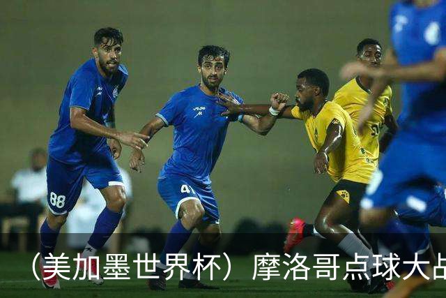 （美加墨世界杯）摩洛哥点球大战胜荷兰 惊险晋级16强